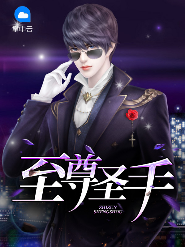 至尊圣手 小说