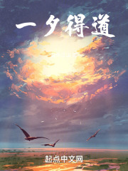 一夕得道小说免费阅读