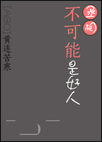 丞相不可能是好人网盘