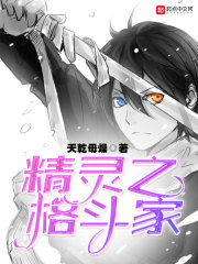 精灵之硬核格斗家