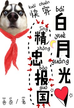 白月光精忠报国[快穿]奇书网