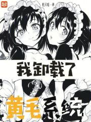 我卸载了黄毛系统起点