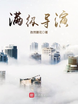 满级导演 小说