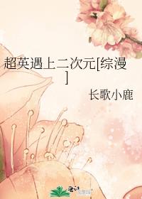 超英遇上二次元格格党