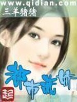 女总裁的王牌高手电视剧