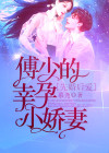 先娶再撩;傅少追妻忙