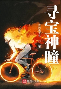寻宝神瞳 小说