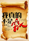 我真的不是穷人 望天一笑