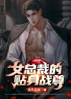 女总裁的贴身站乓