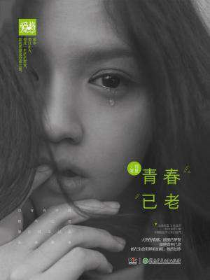 青春已逝年华已老的感慨的句子