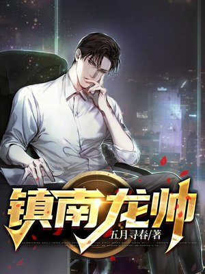 镇龙镇长