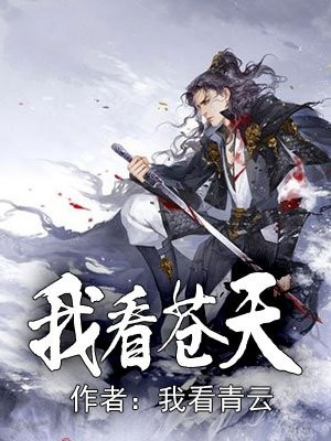 我看苍天大如圈什么意思