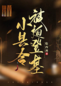 小县令被迫登基(基建)临西洲紫薇