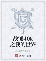 战锤40k之我的世界TXT下载