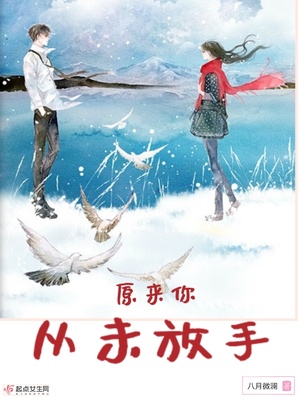 原来你从未放手 小说