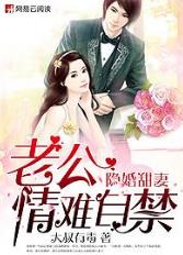 隐婚老公,有点甜 小说