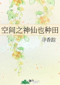 神农仙戒超级种菜空间