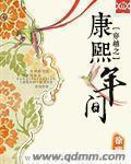穿越康熙年间小说名字