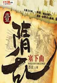 隋乱电视剧