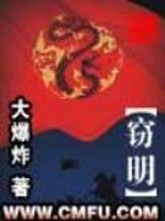 窃明珠by星绮雨