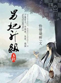 男妃升级系统免费阅读小说