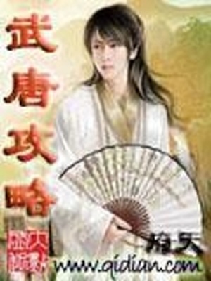 武唐攻略TXT下载