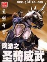 网游之圣骑威武 txt八零