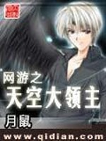 网游之星空领主