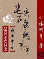 迷失在康熙末年百度百科