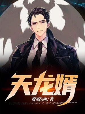 天龙婿大结局