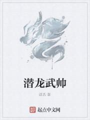 潜龙武帅全集
