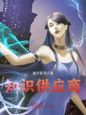 知识供应商 小说