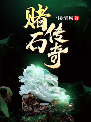 赌石传奇最新章节