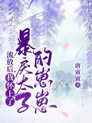 流放后我成了将军夫人txt