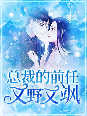 总裁的前妻又美又飒网剧