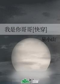 我是你哥哥快穿小说免费