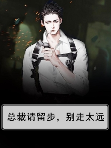 总裁请留步,别走太远