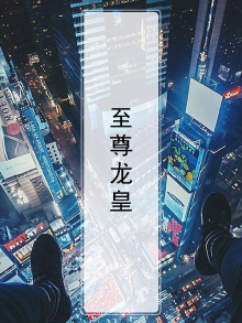 至尊龙皇短剧免费观看高清
