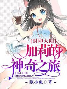 封印大陆,加莉的神奇之旅怎么过