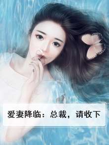 第一章总裁爱妻如命