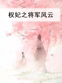 权妃之将军风云