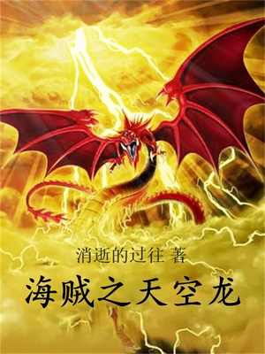 海贼天空龙小说