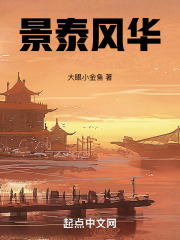 景泰风华 小说 免费