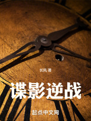 谍影逆战小心点