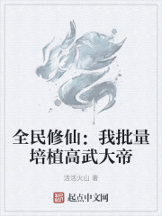 全民修武 小说
