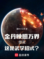 金丹映照万界,你说这是武学招式?
