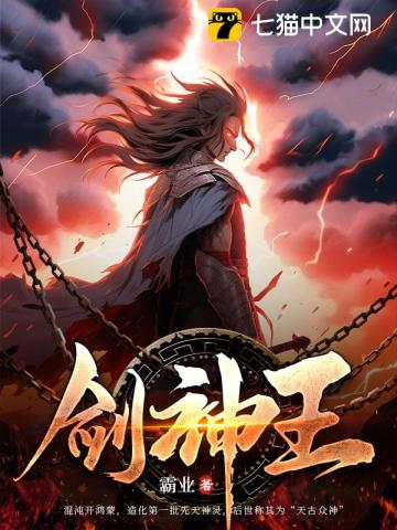 剑神王小说