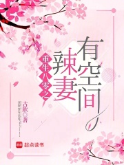 重生八零空间