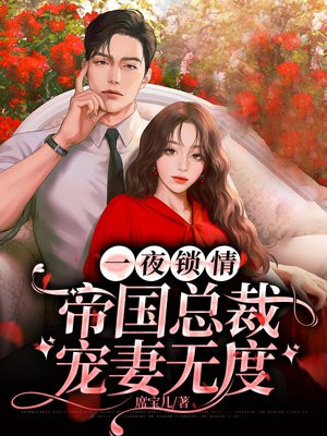 小说名字 「一夜锁情,总裁先生请温柔