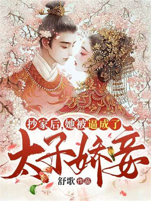 抄家以后明安